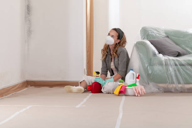 Reliable Mold Cleanup contractor in Entriken, PA by WQB Mold Removal